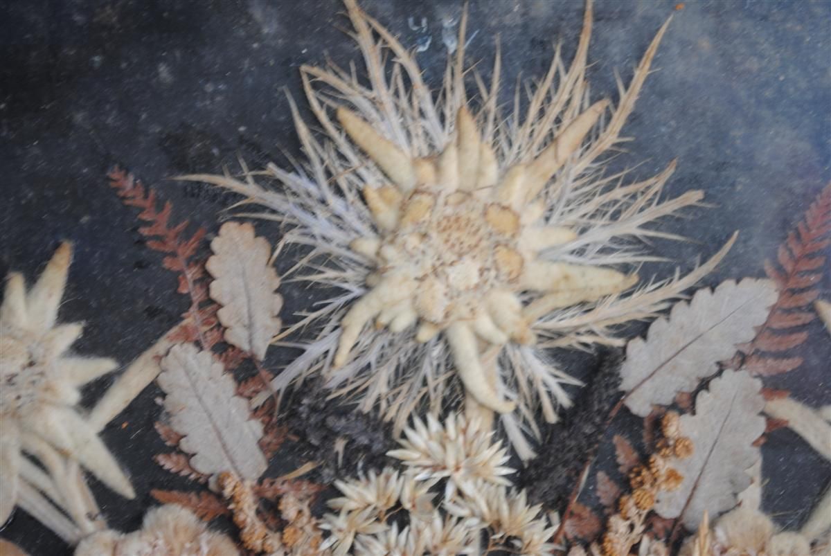 1013.0 Souvenir Des Alpes Composition Of Dried Flowers Late 19th Century photo