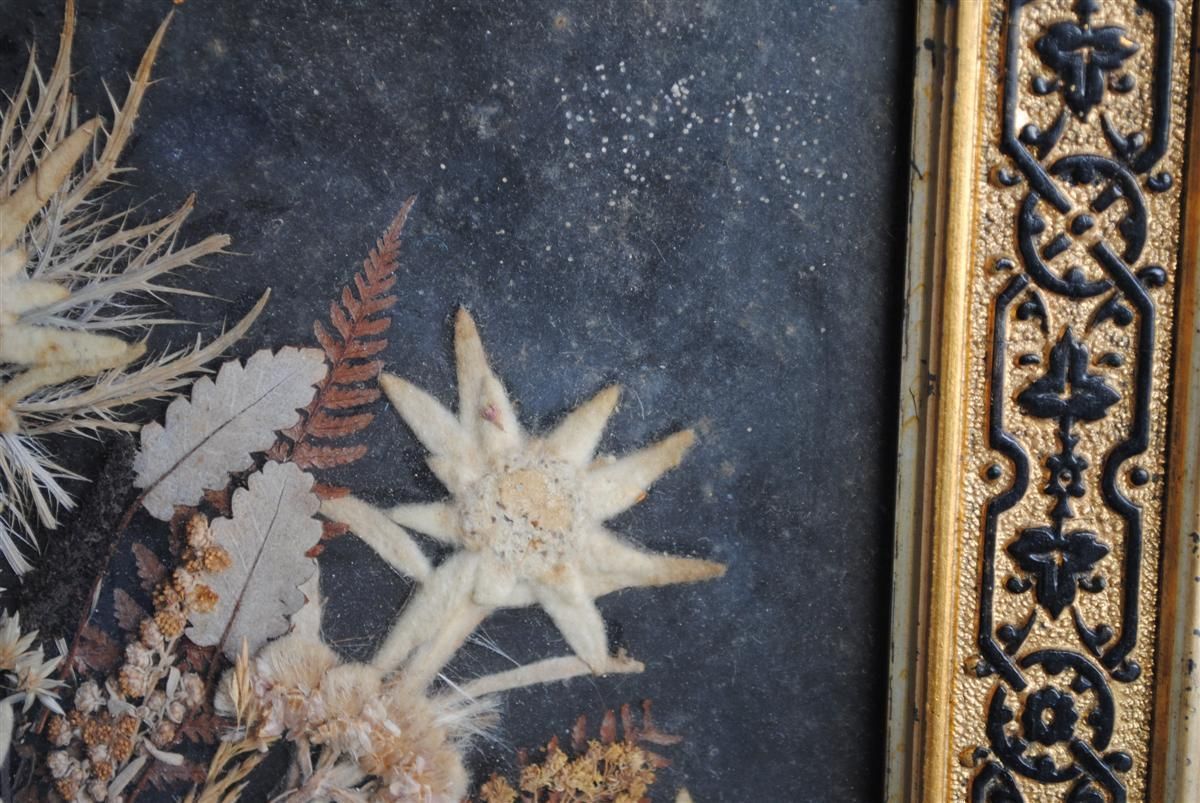 photo vintage Souvenir Des Alpes Composition Of Dried Flowers Late 19th Century