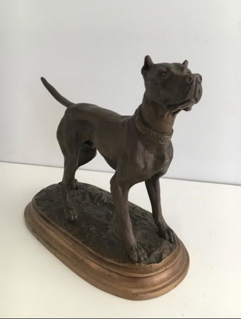 Henri Payen.(1894 1933). German Mastiff. Signed Payen à Lille On The Necklace. Circa 1920 photo vintage