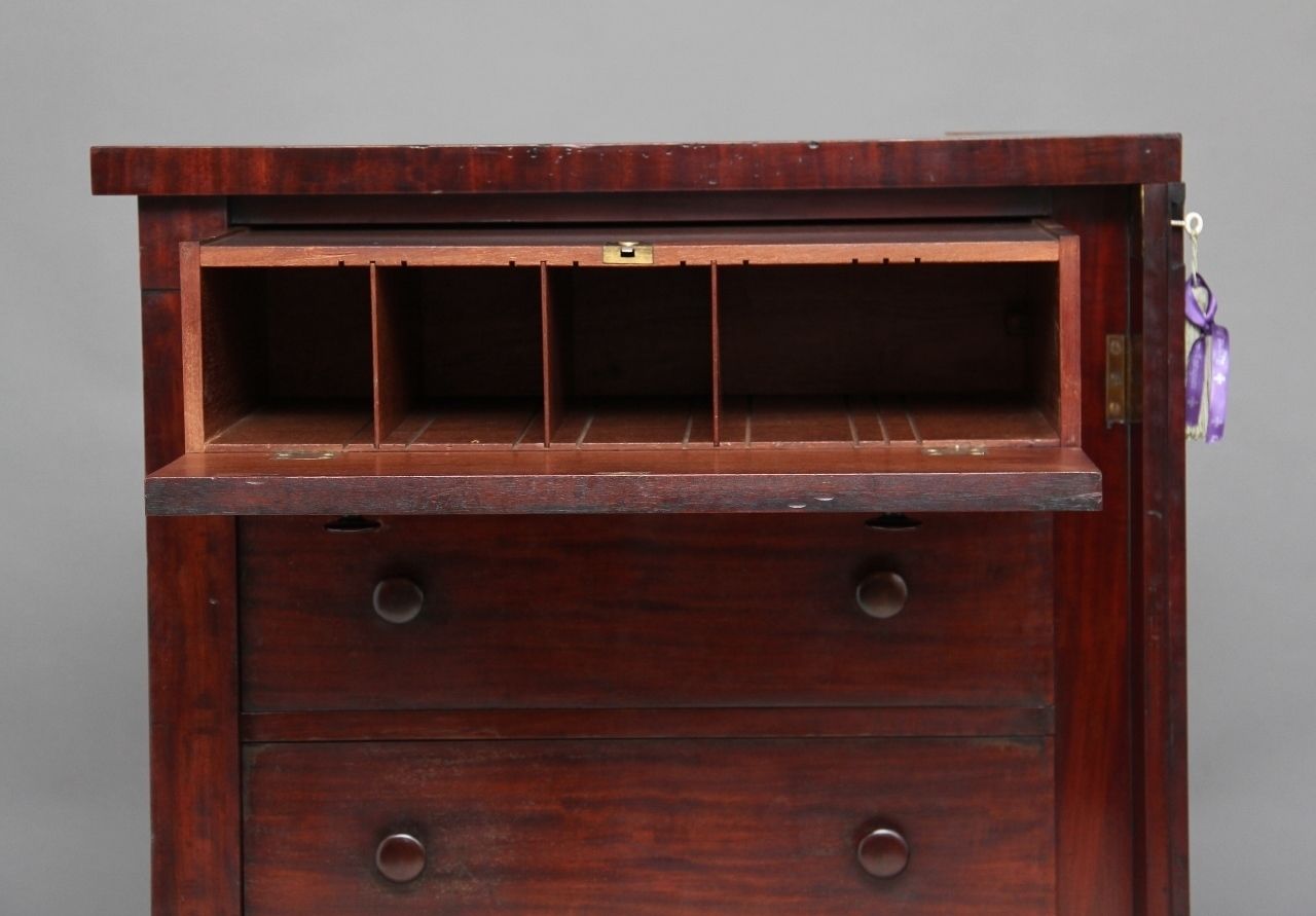 19th Century Mahogany Wellington Chest photo vintage