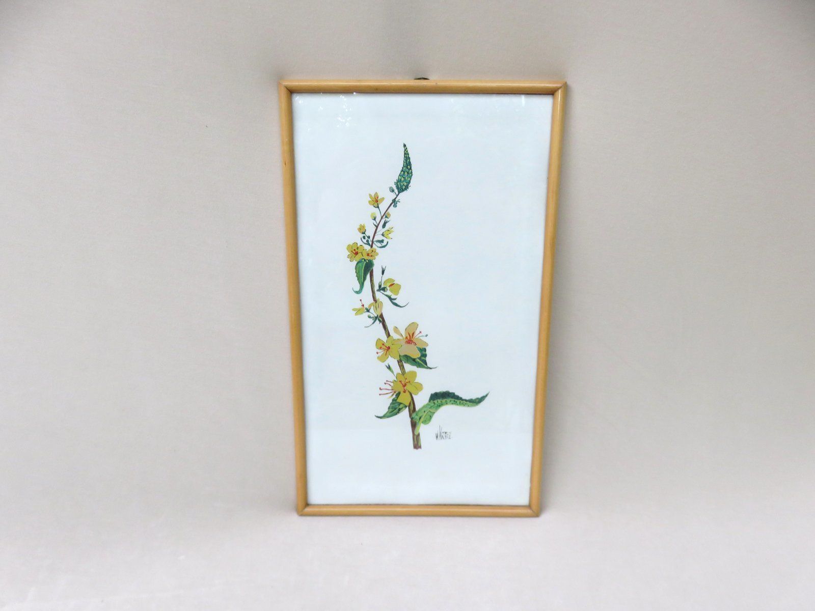 photo vintage Flowers Watercolor By W. Kratz, 1950s, Set Of 4