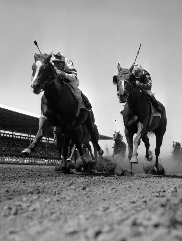 'Horse Race' Circa 1960 Archival Pigment Print Framed In White photo furniture