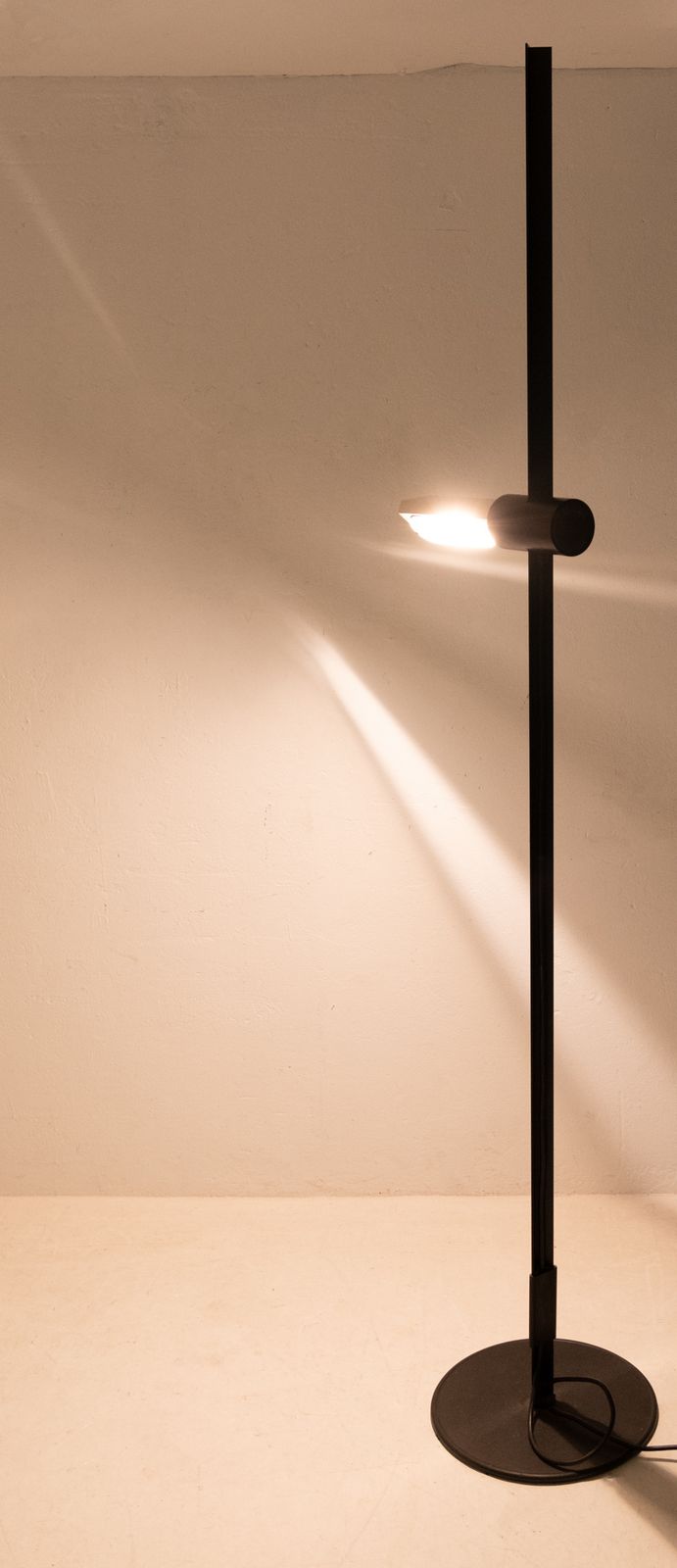 G.F. Frattini For Luci Caltha Adjustable Floor Lamp, Italy, 1982 photo 1388.8