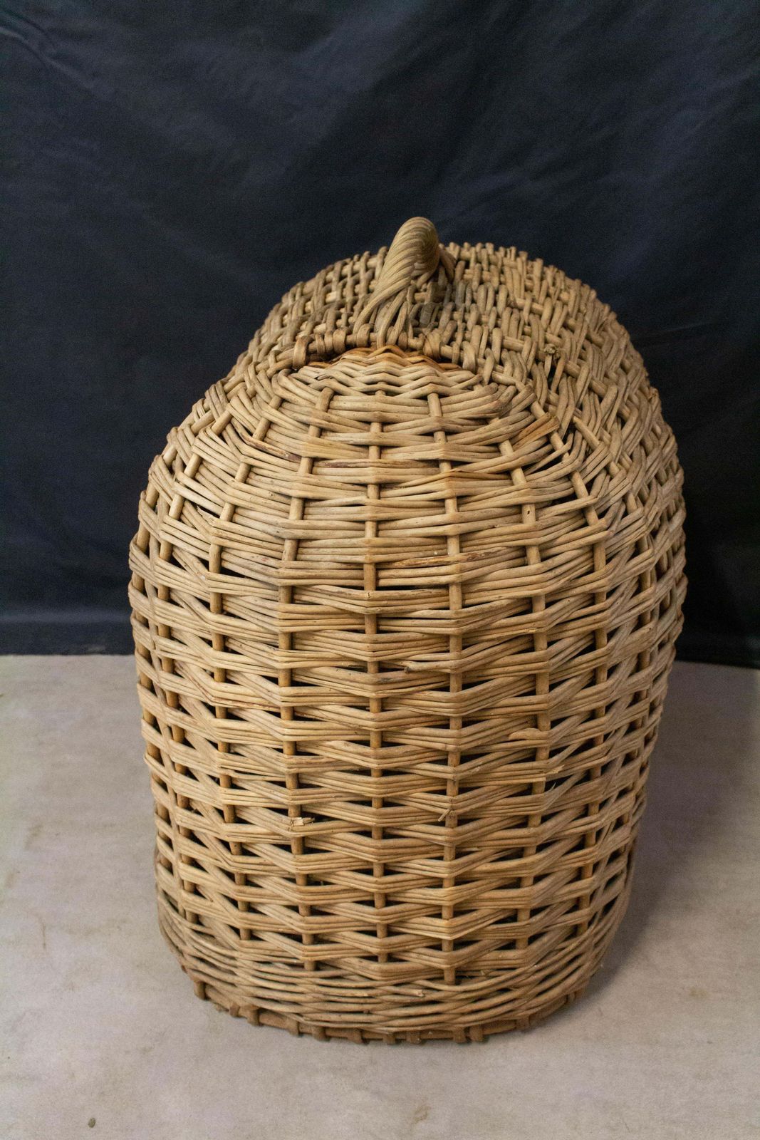 Panier de transport en osier pour chat ou chien, mid-century, France photo 490.0