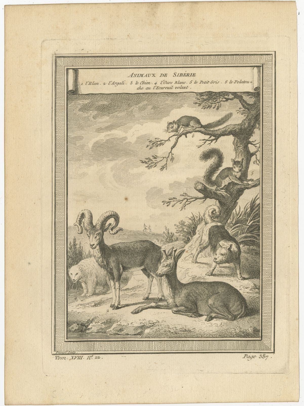 Antique Print Of Animals Of Siberia By Prévost (1768)