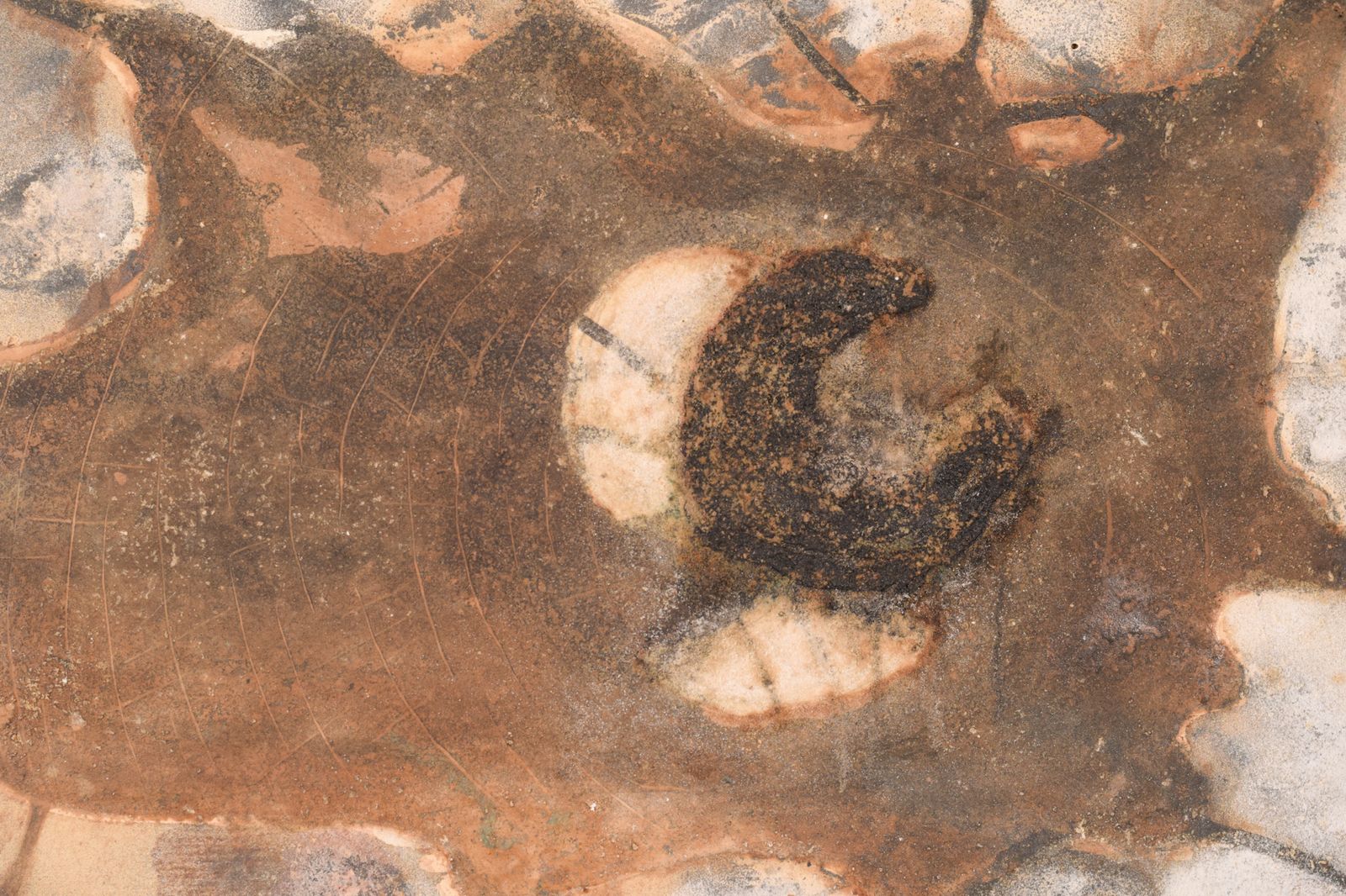 Mixed Media Abstract Painting photo Art
