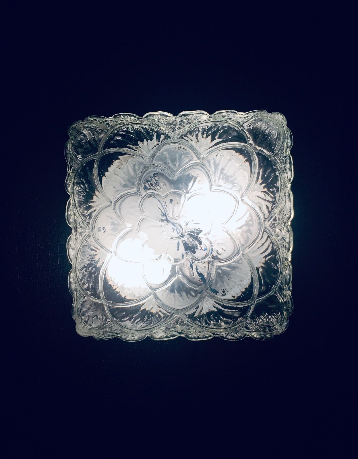 Mid Century Modern Bloem  En Bladmotief Glazen Wandlamp Van Rzb Leuchten, Jaren 1960 photo buy
