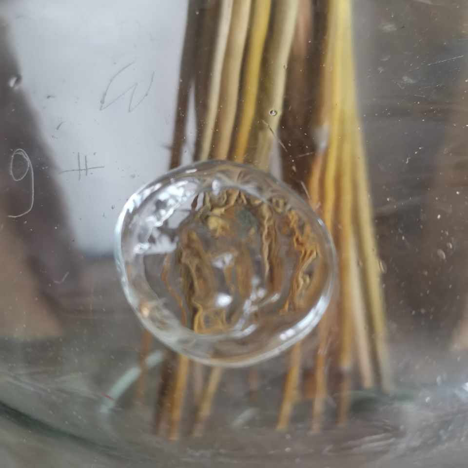 1930s Hand Made Antique Glass Jar, Vase, Medicine, Wine, Water Bottle photo for sale