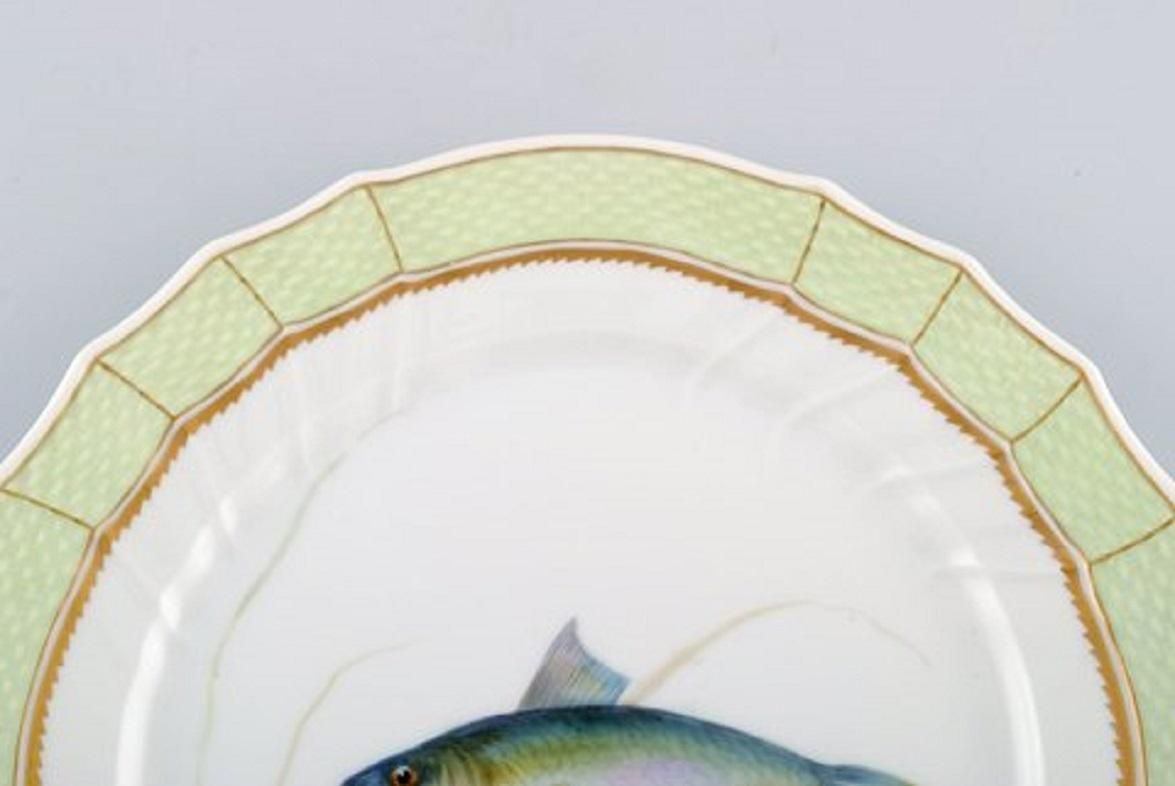 Royal Copenhagen Fish Plate With Green Edge, Gold Decoration And Fish Motif photo for sale