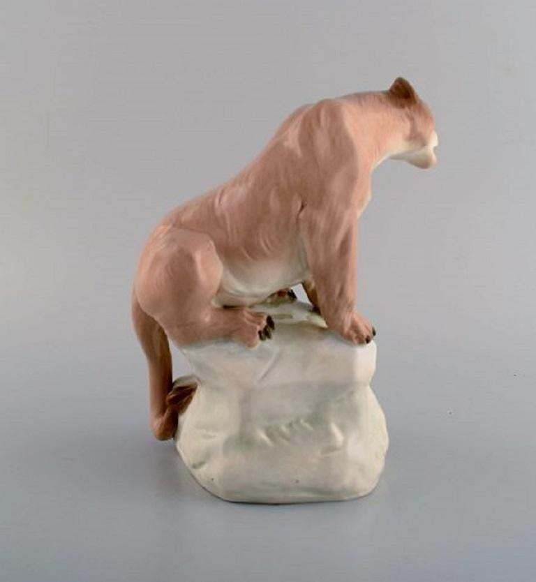 Amphora, Czechoslovakia, Hand Painted Porcelain Figurine Of Lioness On Rock photo 512.0