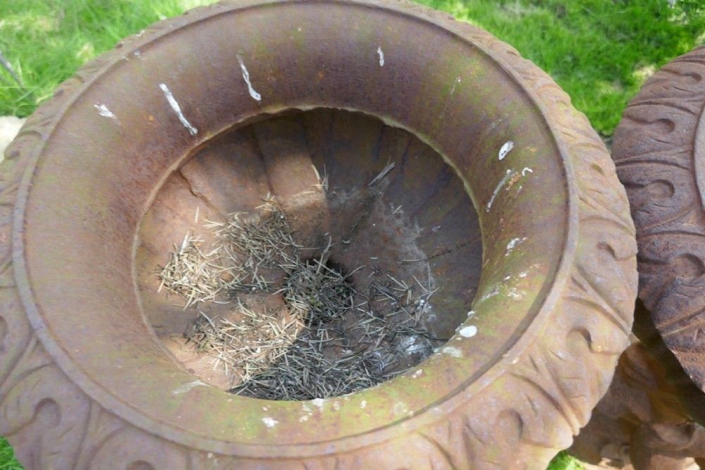 Pair Of Classical Iron Planters In The Form Of The Gemini Twins photo 810.0