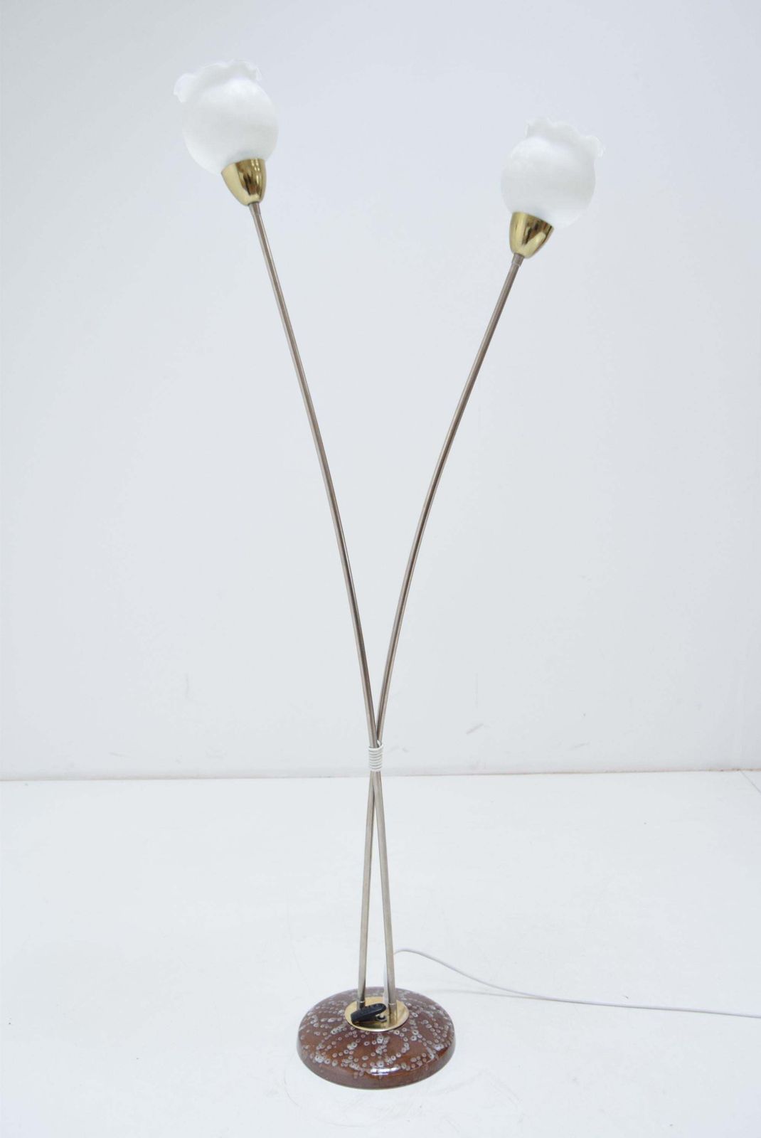 Mid Century Floor Lamp By Kamenicky Senov,1960’s. photo 633.0
