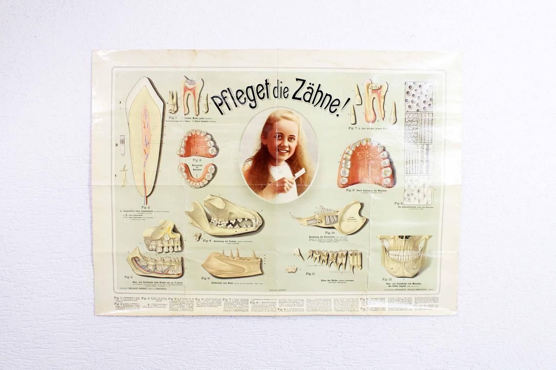Vintage Swiss School Poster "Take Care Of Your Teeth" Teeth Care