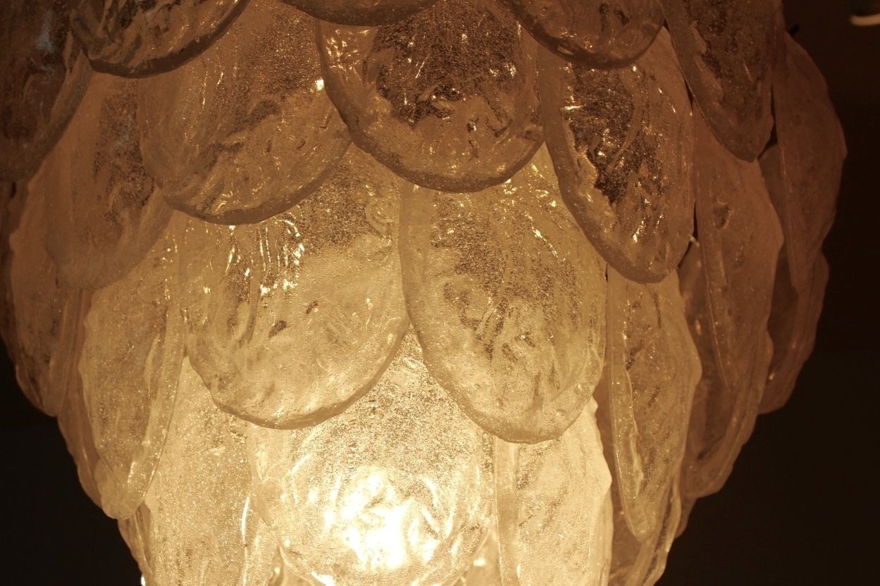 Murano Frosted Glass Leaves Chandelier From A.V. Mazzega, 1970s photo 2161.12