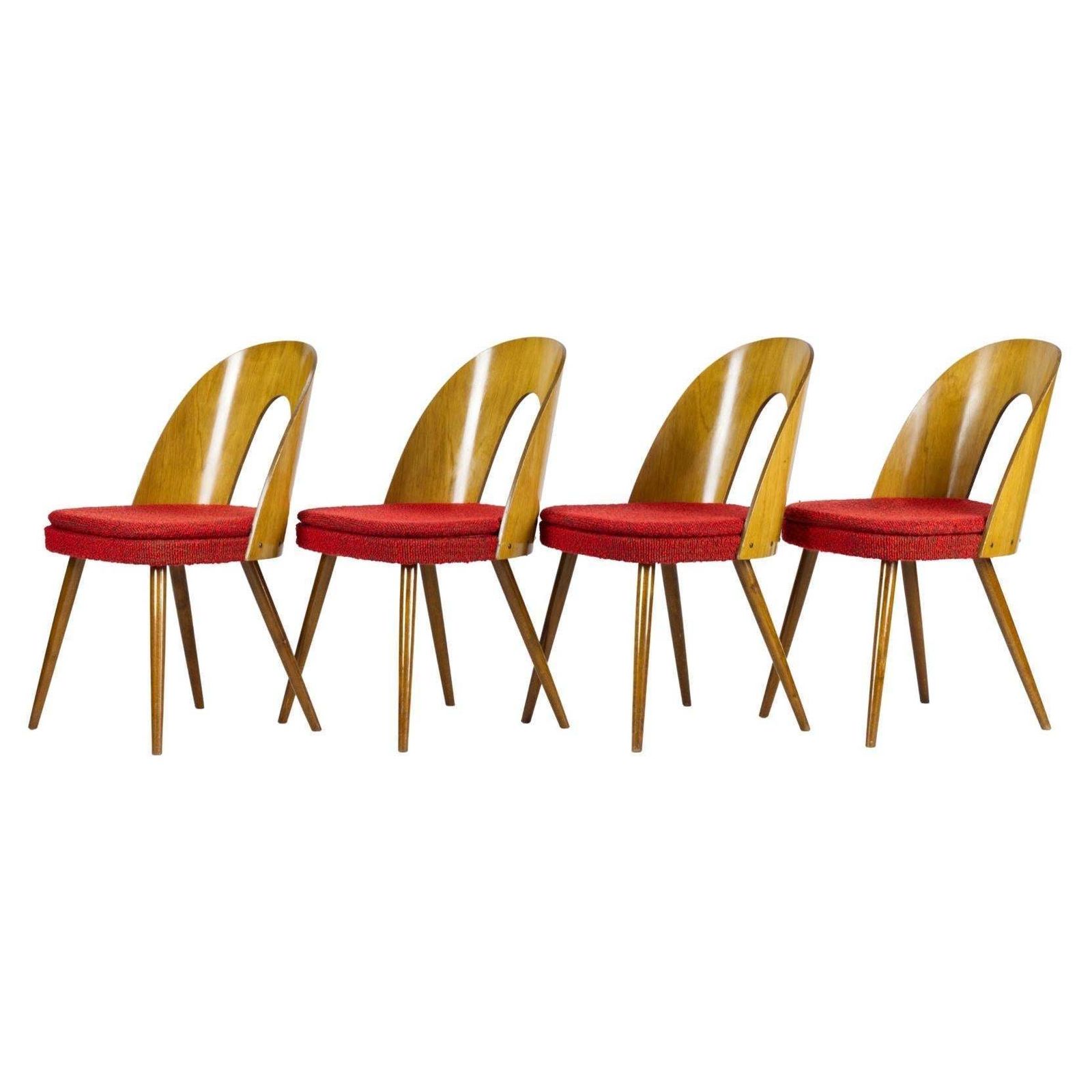 Mid Century Dining Chairs By Antonín šuman For Tatra Nabytok Np, 1960s