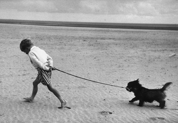 ' Walking The Dog ' By Erich Auerbach Oversized Resin
