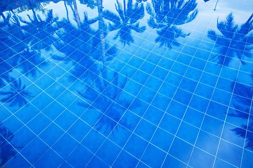 ' Reflection Of Palm Trees Over Swimming Pool ' C Type