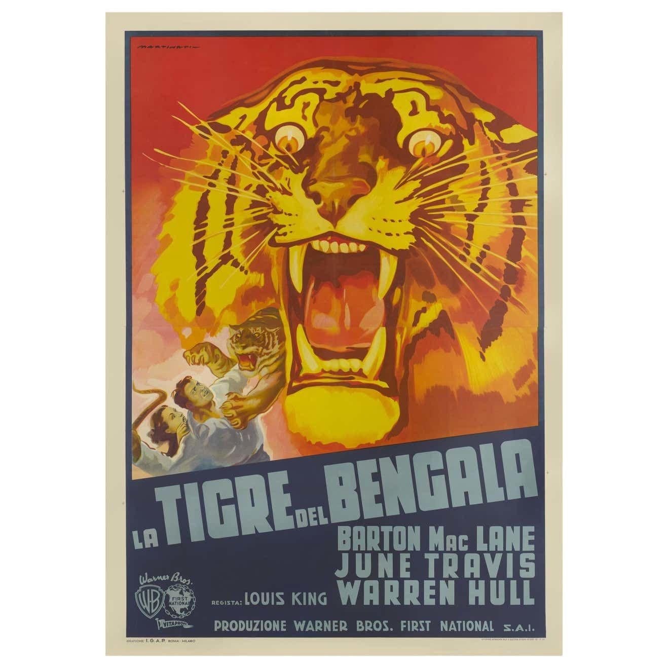 Original Italian Film Poster For The 1936 Action Adventure Film Bengal Tiger