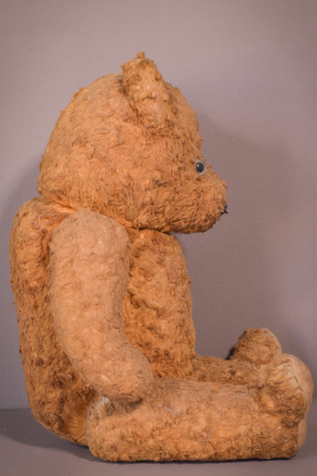 Teddy, Antique photo for sale