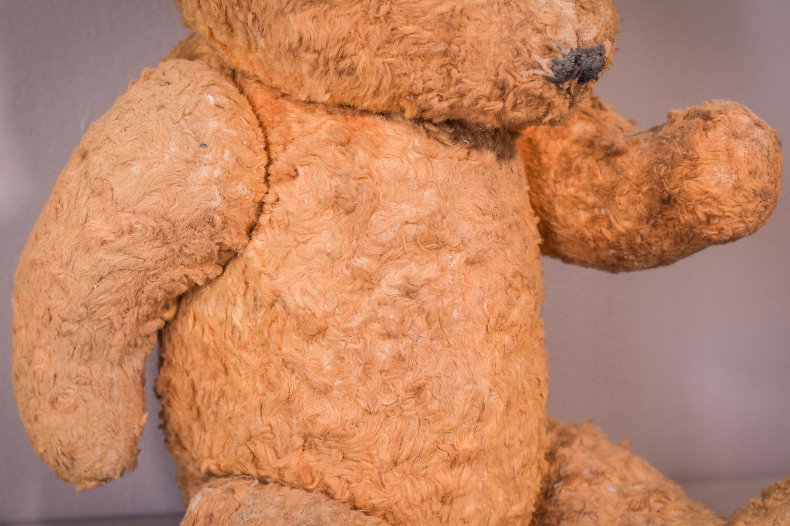 Teddy, Antique photo Home Decor