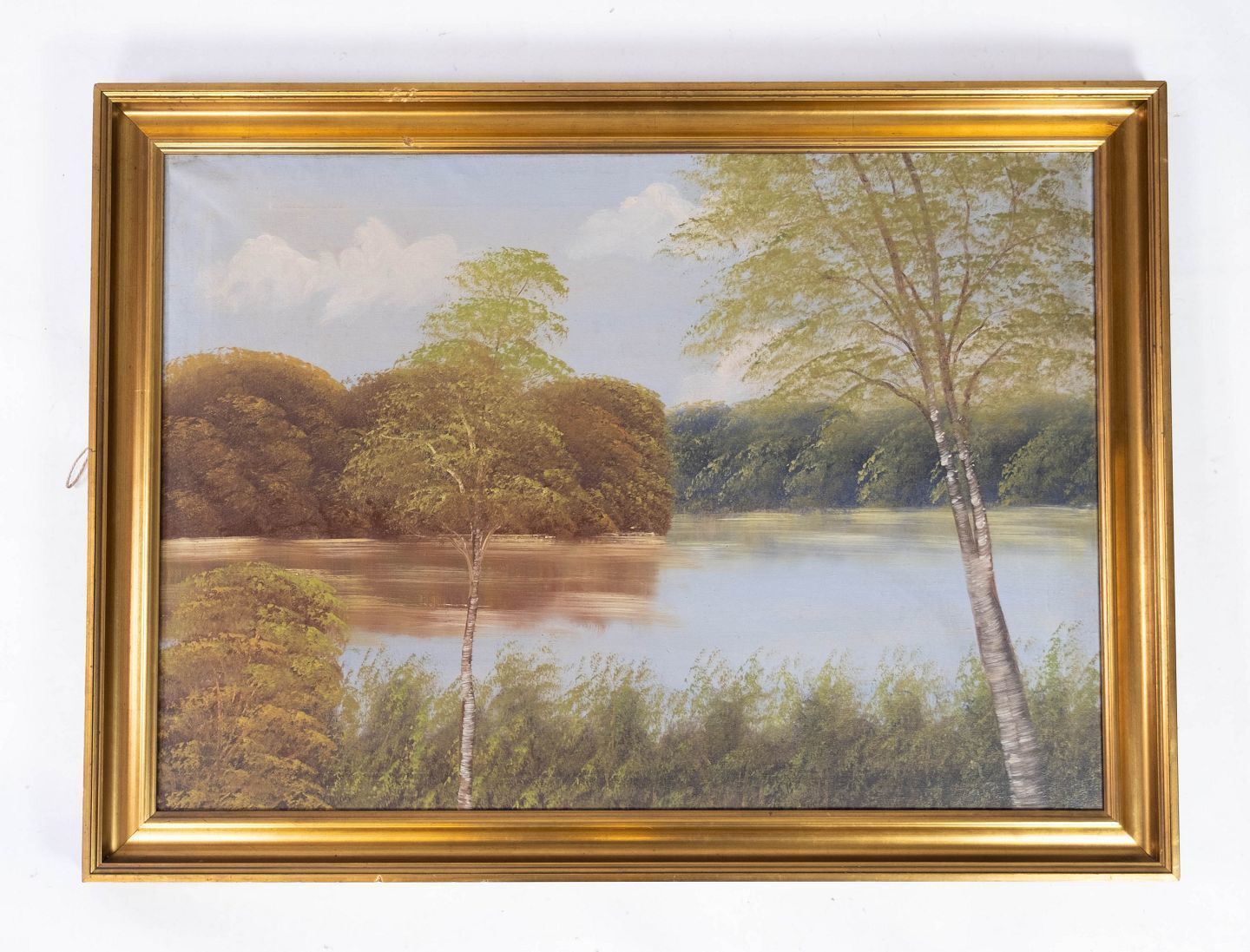 Oil Painting With Natural Motif And Gilded Frame, Without Signature From The 1930s.