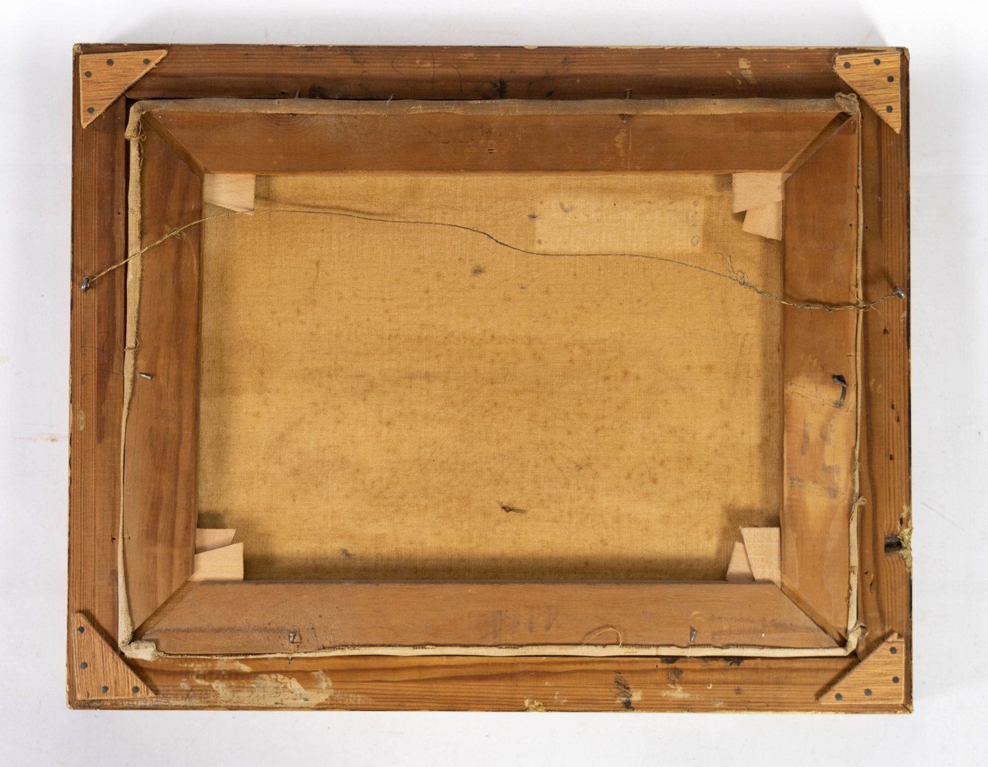 Oil Painting With Natural Motif And Gilded Frame, With Unknown Signature. photo Art
