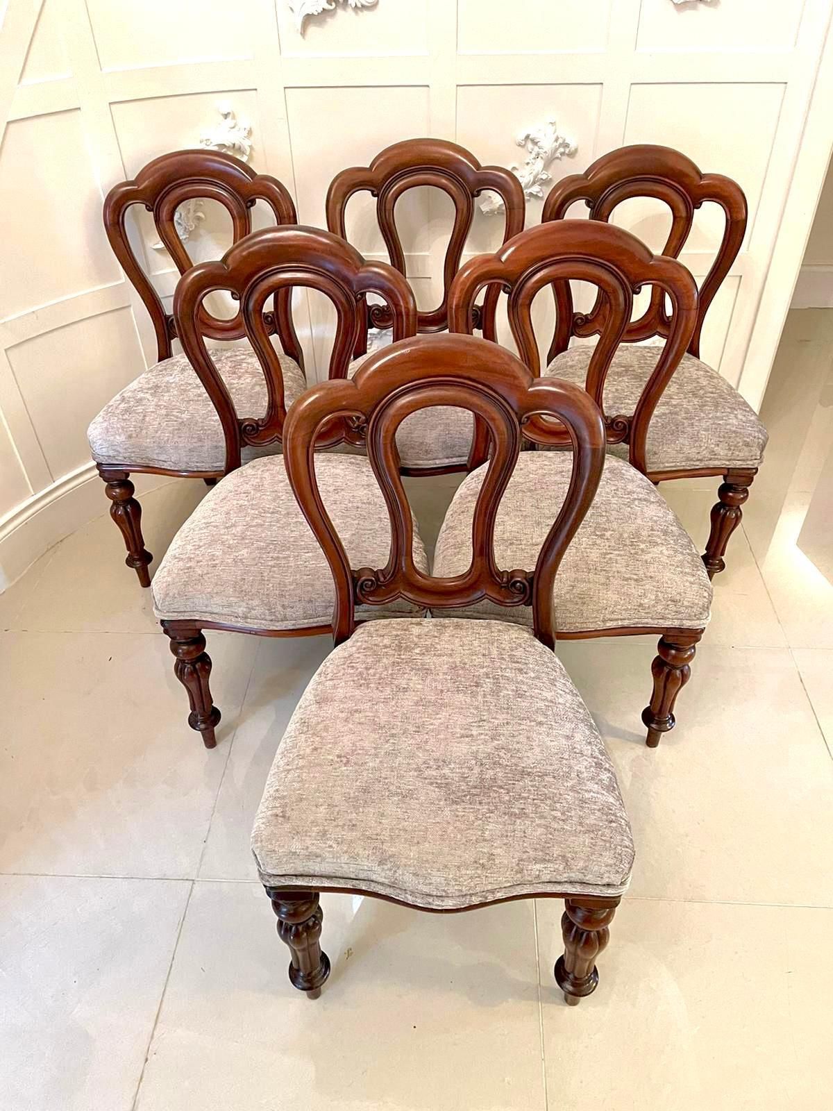 Furniture Antique Set Of Six Victorian Mahogany Dining Chairs photo