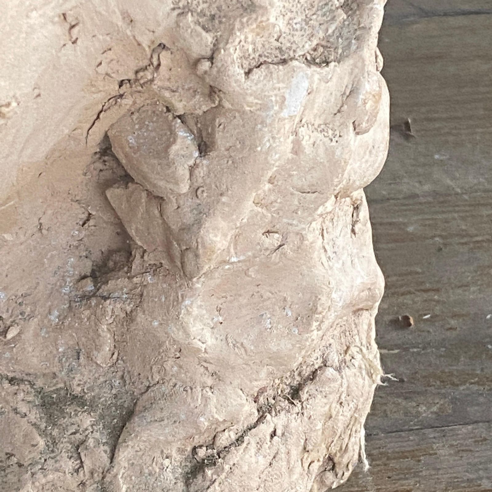 Sculpture In Terracotta, France XX Century, Representing Women Head photo 468.0