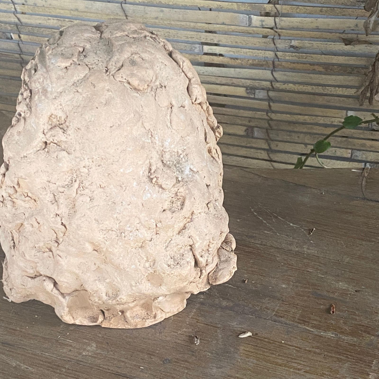 Sculpture In Terracotta, France XX Century, Representing Women Head photo buy