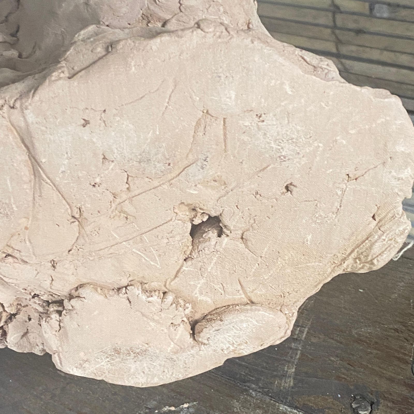 photo for sale Sculpture In Terracotta, France XX Century, Representing Women Head
