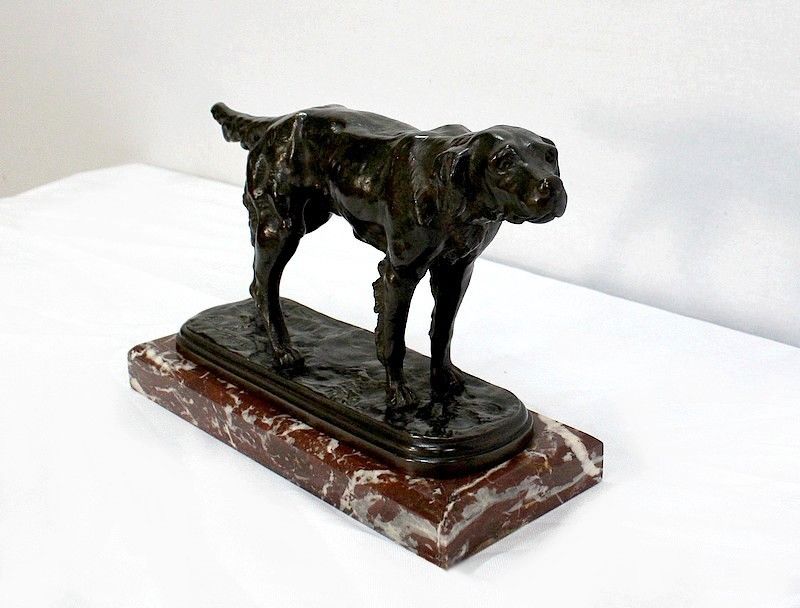 Bronze "Hunting Dog " By E. De Gaspary, Late 19th Century photo for sale