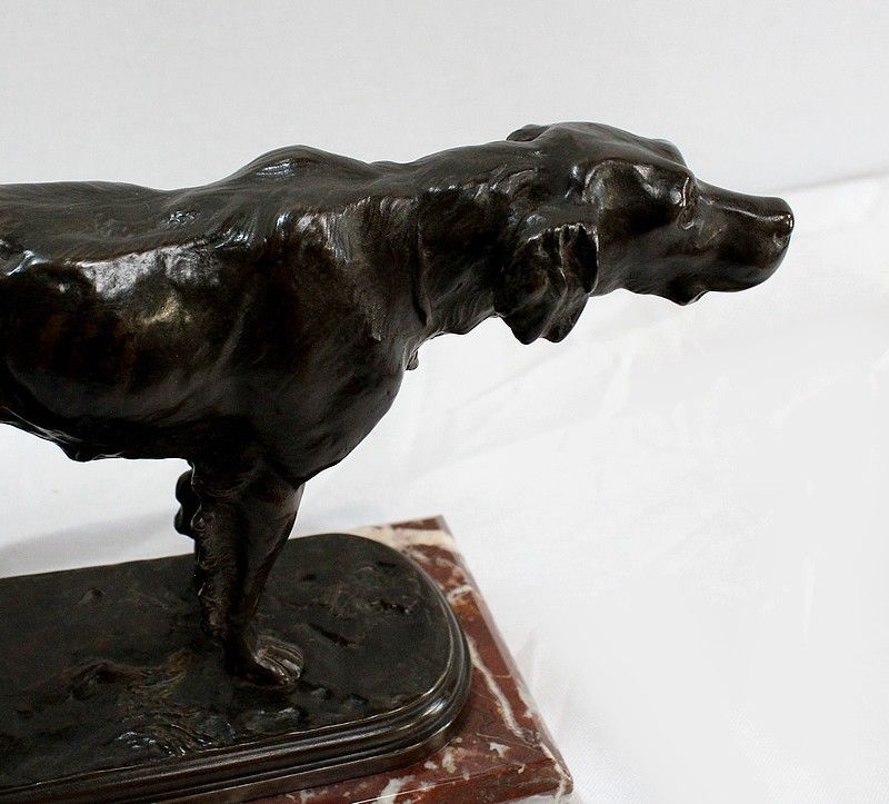 Bronze "Hunting Dog " By E. De Gaspary, Late 19th Century photo buy