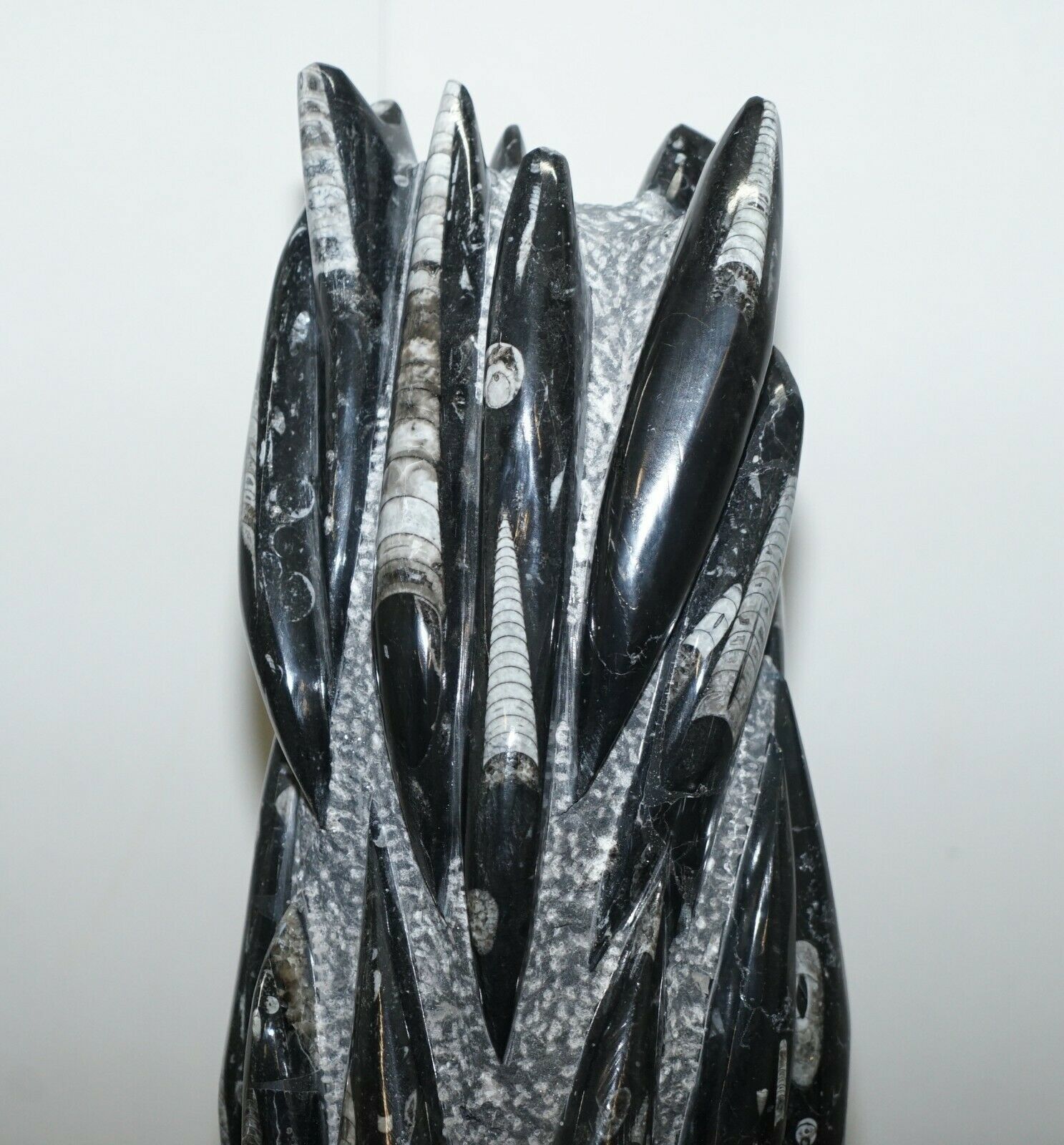 Pair Of Large 395 Million Year Old Fossilized Orthoceras Marble Finish Statues photo 2950.0
