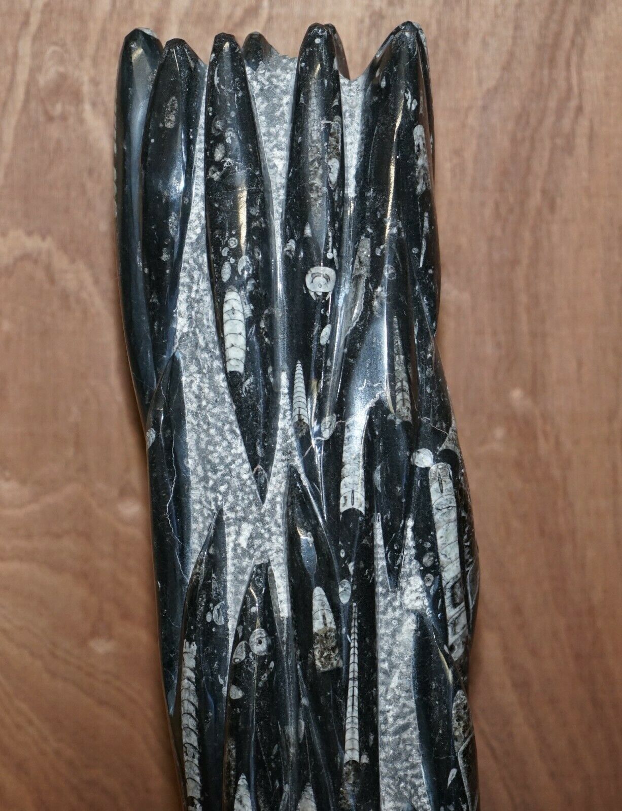photo furniture Pair Of Large 395 Million Year Old Fossilized Orthoceras Marble Finish Statues