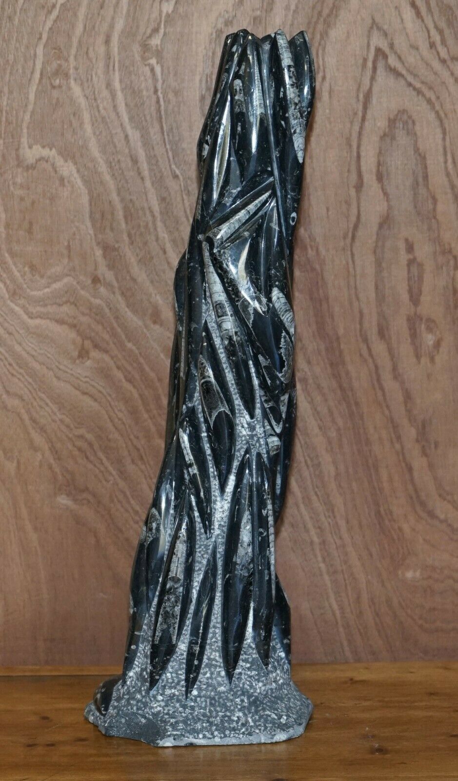 2950.0 Pair Of Large 395 Million Year Old Fossilized Orthoceras Marble Finish Statues photo