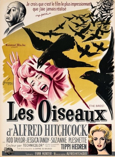 'The Birds' Original Vintage Film Poster By Boris Grinsson, French, 1963