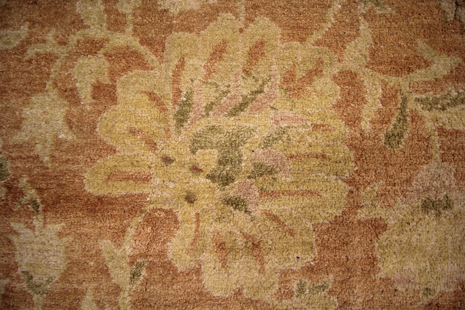 Large Rust Vintage Indian Agra Rug Handwoven Ziegler Style Wool Carpet  310x435cm photo Textiles