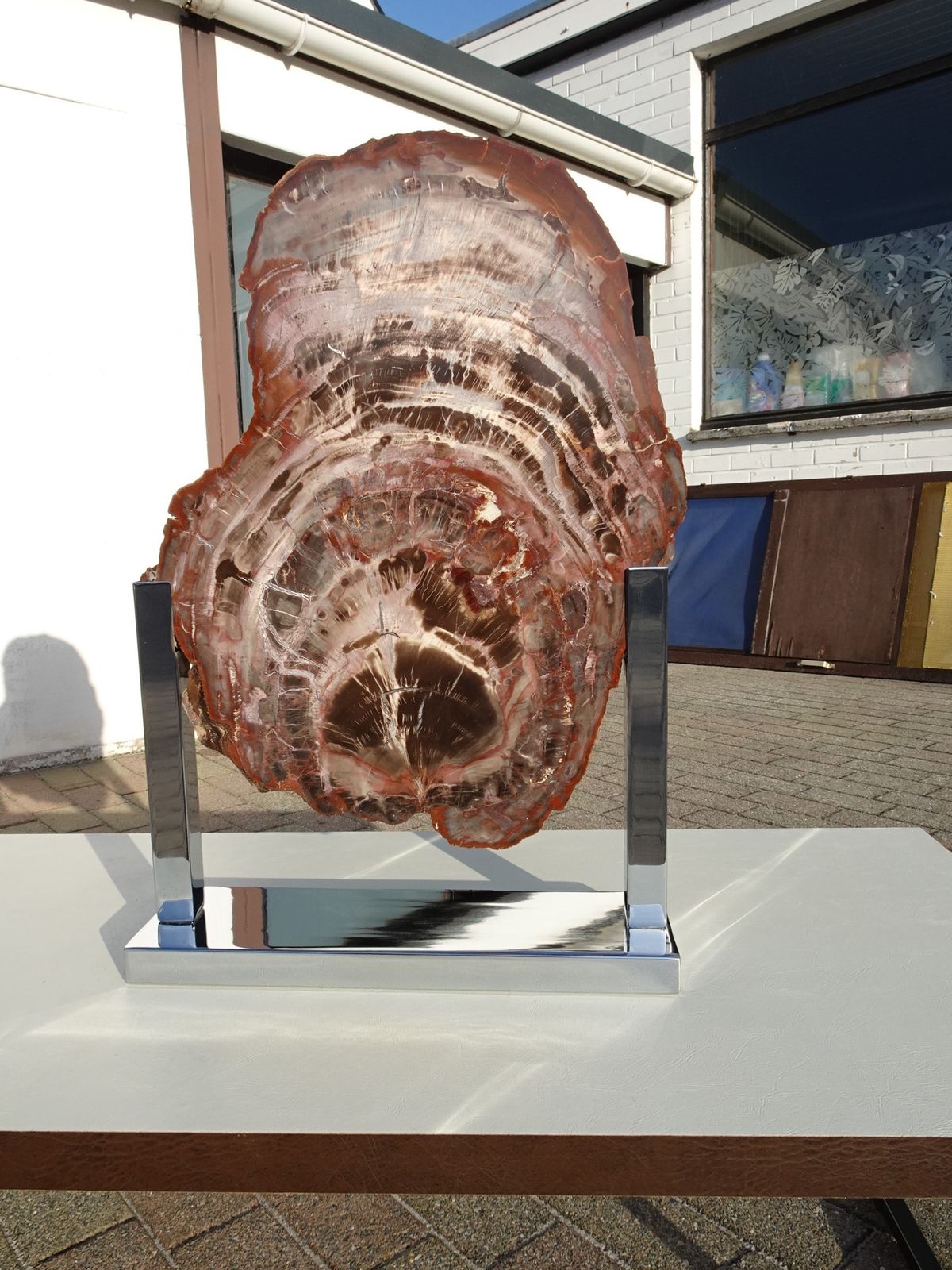 Large Vintage Fossil Petrified Wood Sculpture On Chrome Base 1970s In The Manner Of Ado Chale photo 1450.0