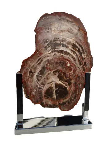 Large Vintage Fossil Petrified Wood Sculpture On Chrome Base 1970s In The Manner Of Ado Chale