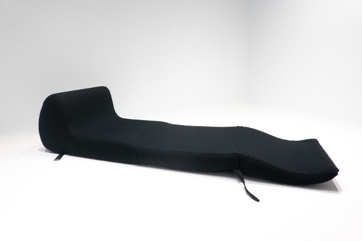 Sofa Bed By Umberto Catalano And Gianfranco Masi photo vintage