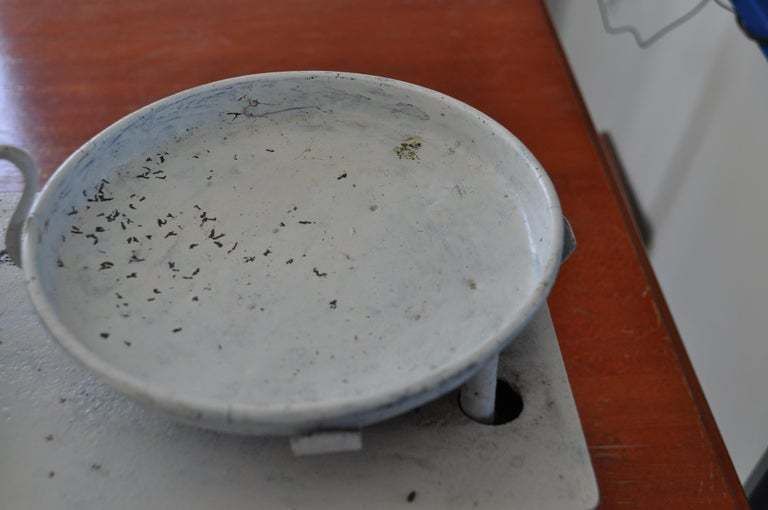 Vintage Kitchen Scale, Circa 1950s photo for sale