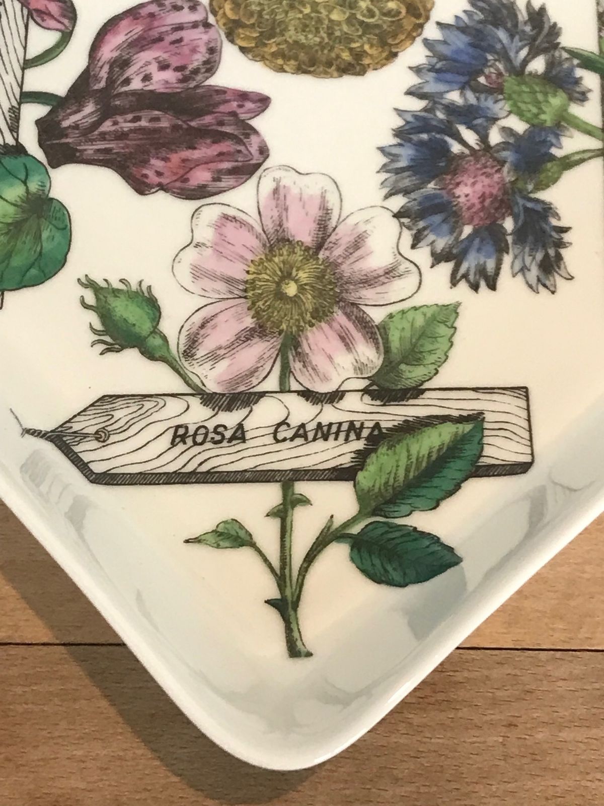 Super Rare Mid Century Modern Piero Fornasetti Botanica Pratica Porcelain Square Serving Bowl Or Dish photo furniture