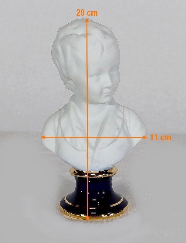 photo for sale Small Bust Of Alexandre Brongniart In Limoges Biscuit, After Ja Houdon