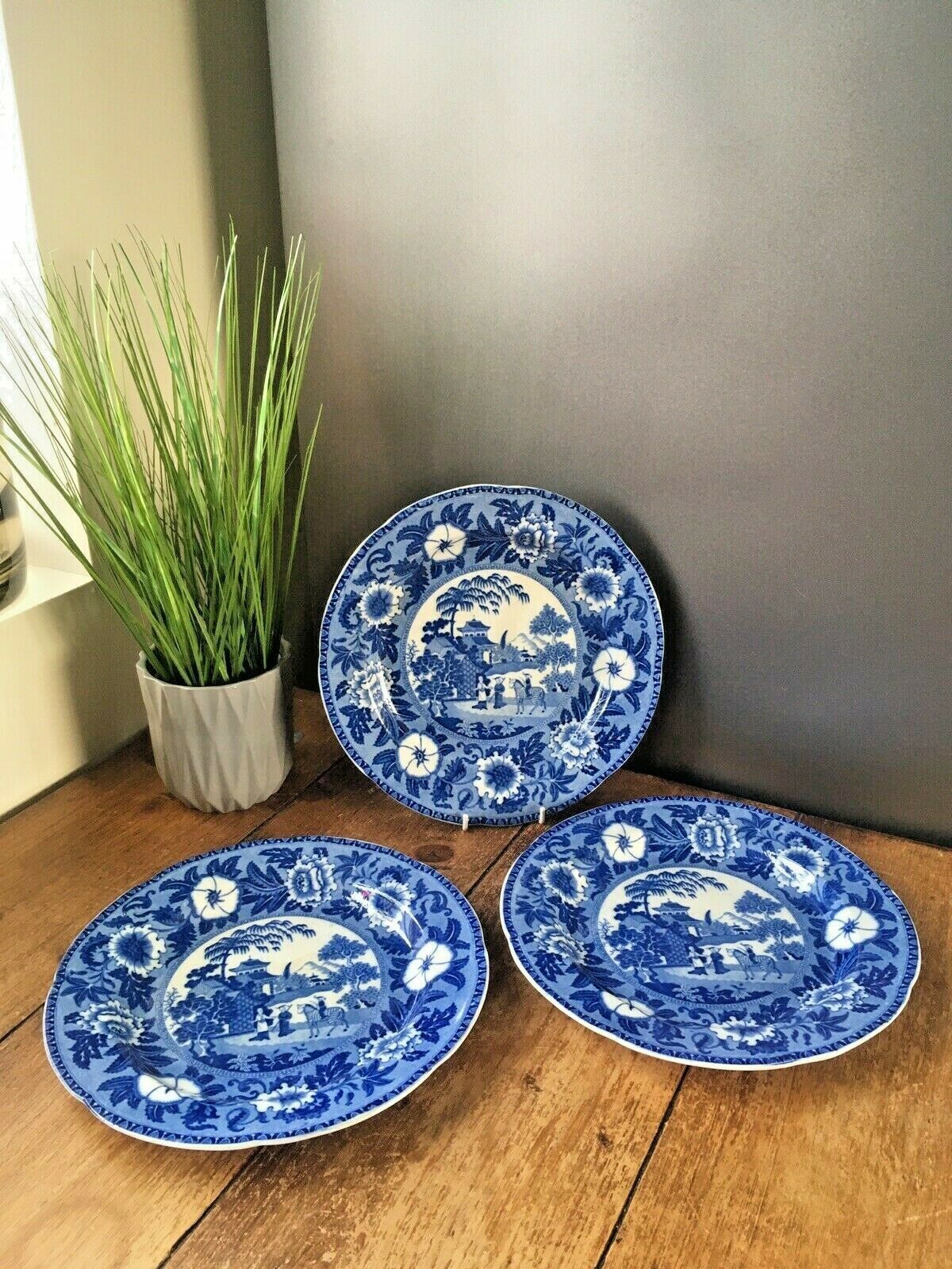 photo vinterior Antique C1825 29 Toft & May Zebra Pattern Blue & White Pearlware Plate Roger