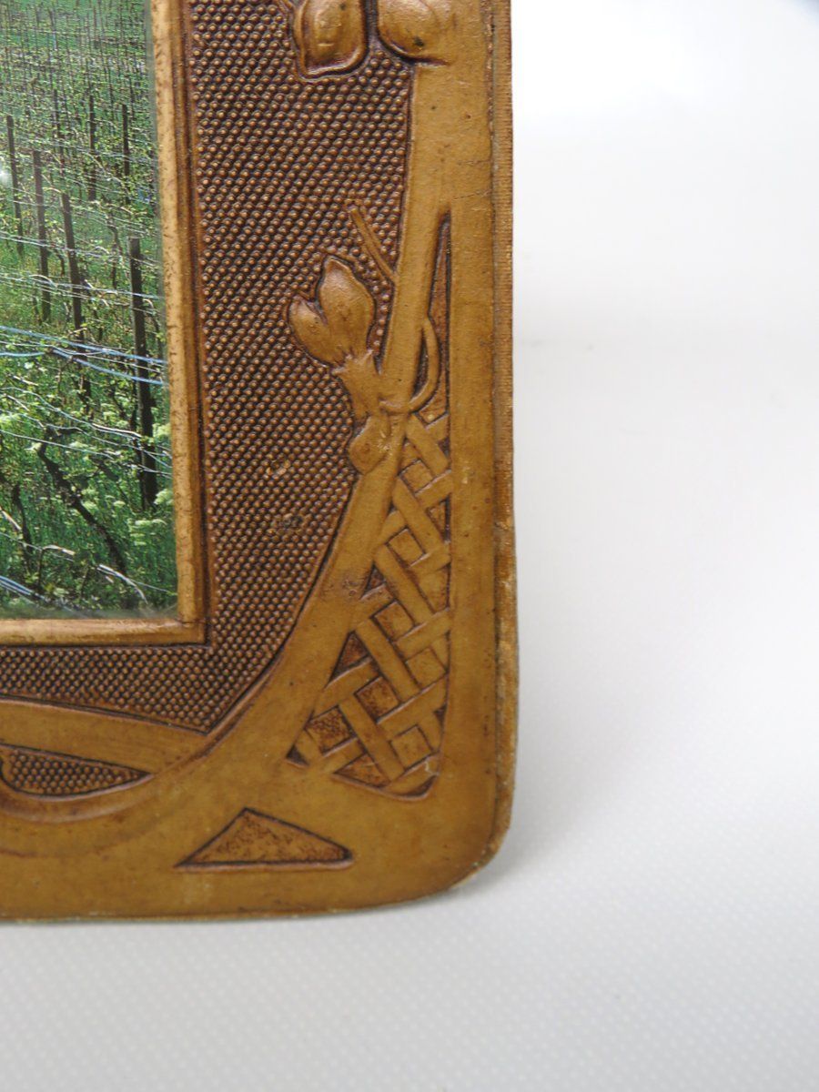 1890.4 Art Nouveau Picture Frame In Vulcanized Fibre photo