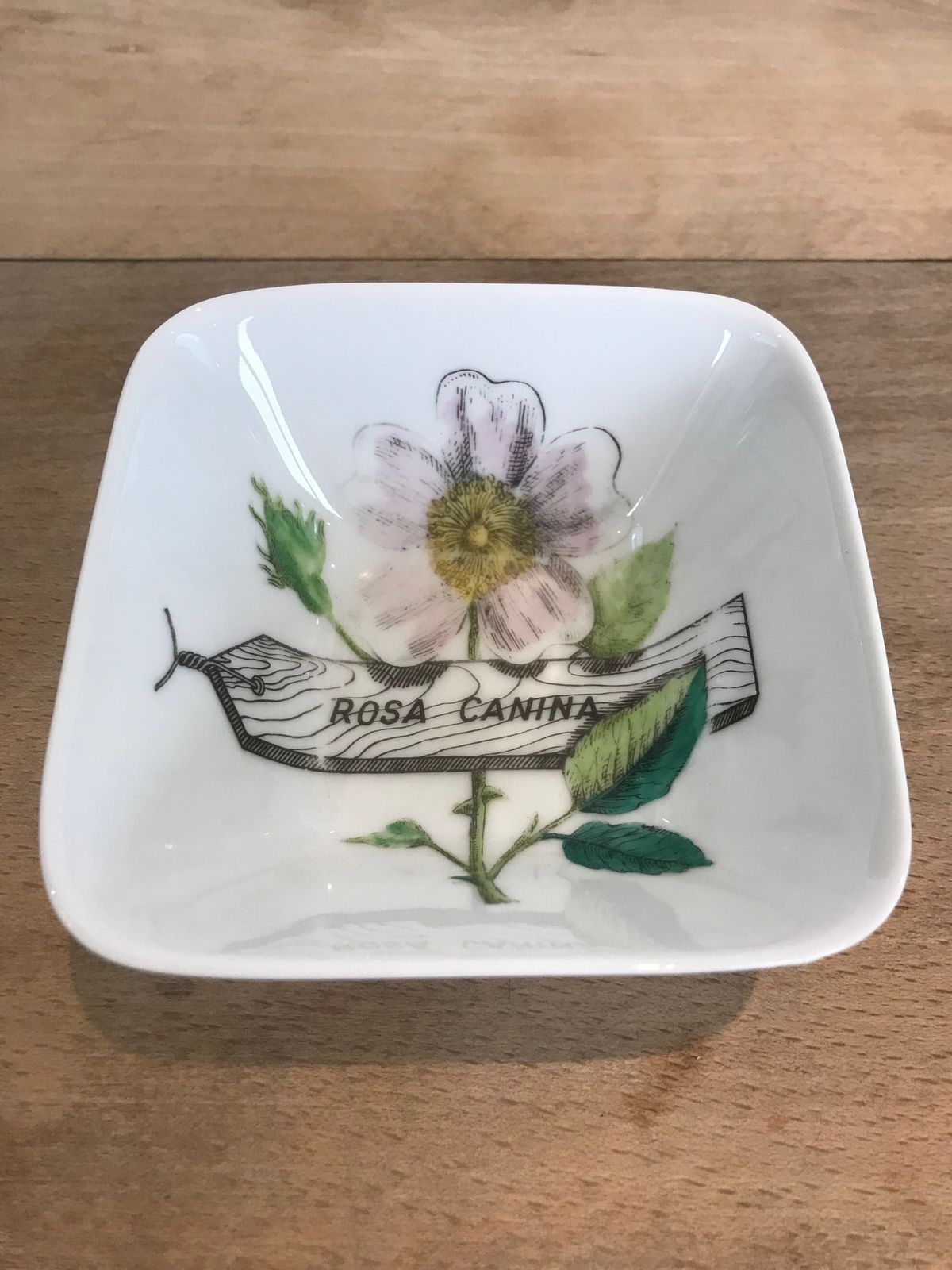 Super Rare Set Of Four Mid Century Modern Piero Fornasetti Botanica Pratica Porcelain Square Hors D'oeuvres Bowls Or Dishes photo for sale