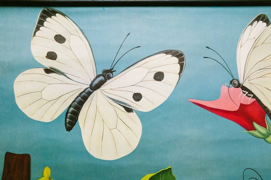 Original Zoological Vintage German School Wall Chart White Cabbage Butterfly Zoology Beautiful Rare Jung Koch Quentell photo vinterior