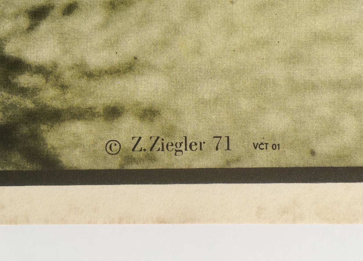 Movie Poster, The Boston Strangler, Zdeněk Ziegler, 1971 photo 67.0