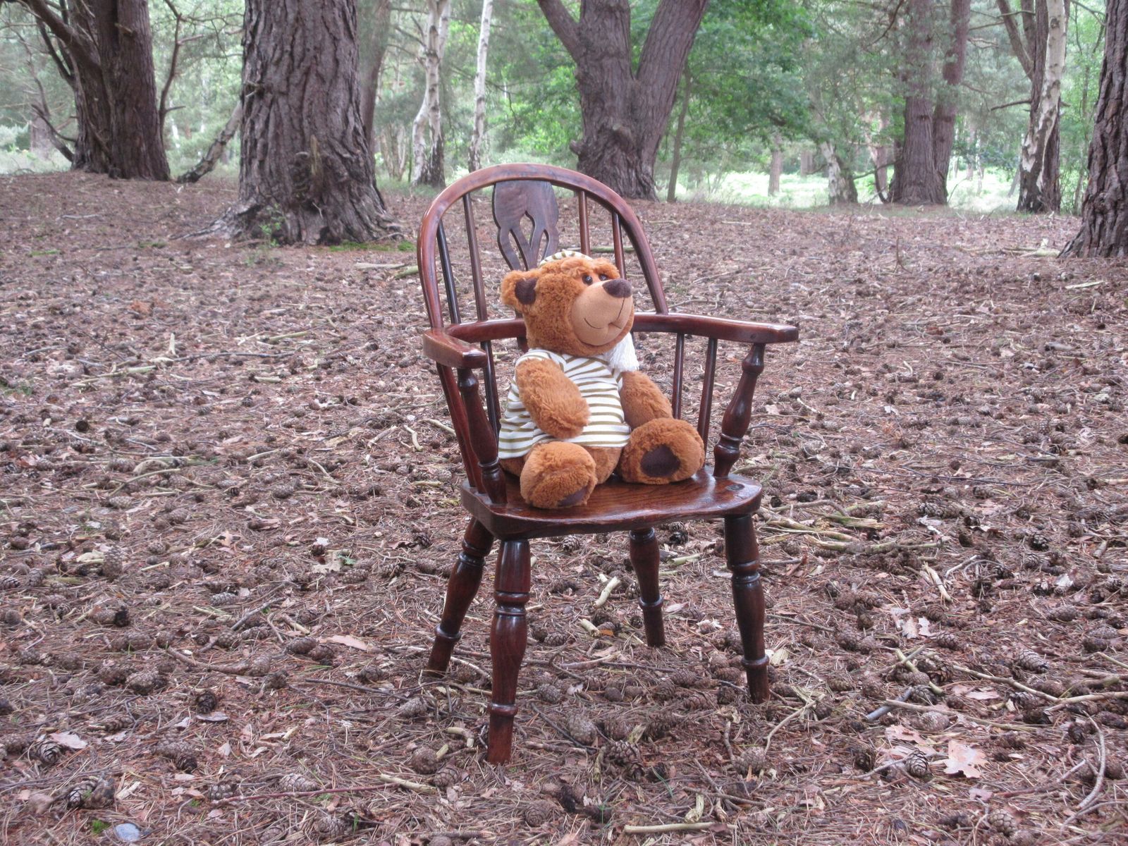 19th Century Yew Wood Childs Windsor Chair, Circa 1810   1840 photo for sale