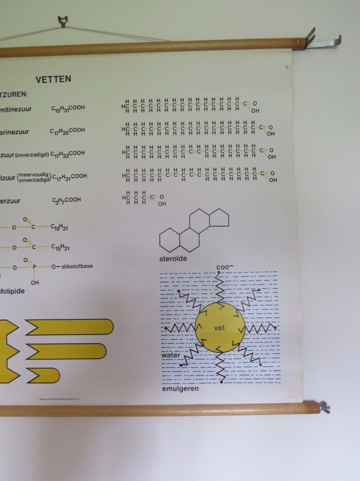 Vintage Roll Down Medical School Biochemistry Chart Of The Structure Of Fats photo for sale